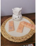 Tablette fondant Snapbar -...