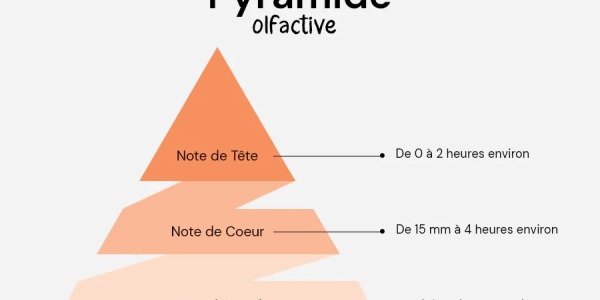 La pyramide olfactive, qu'est-ce que c'est ?